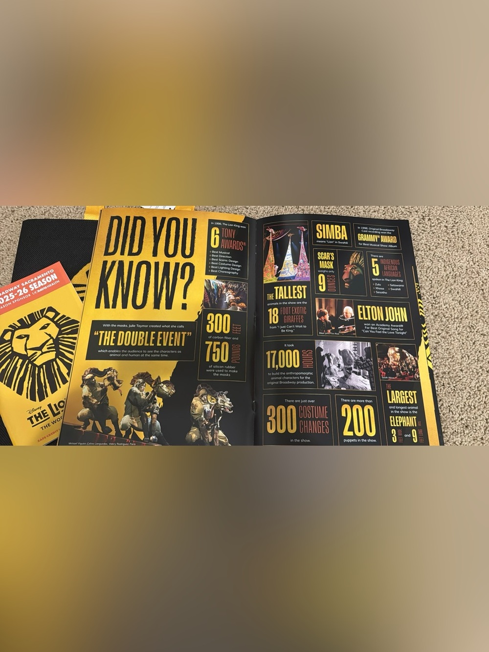 Lion King show Tote and brochure